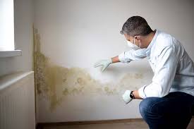 Best Mold Damage Restoration  in East Palo Alto, CA